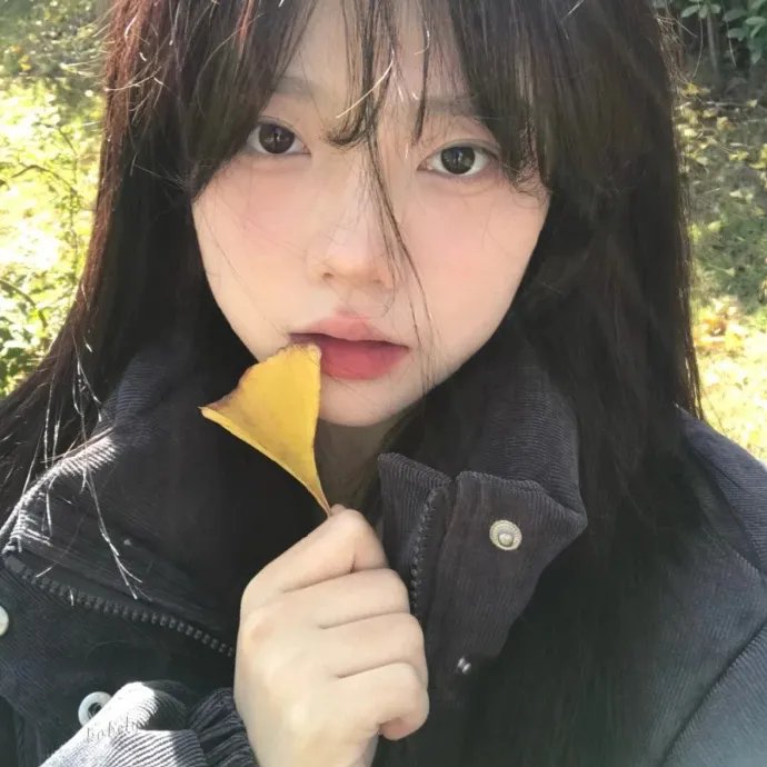 亚历克西纳之谜